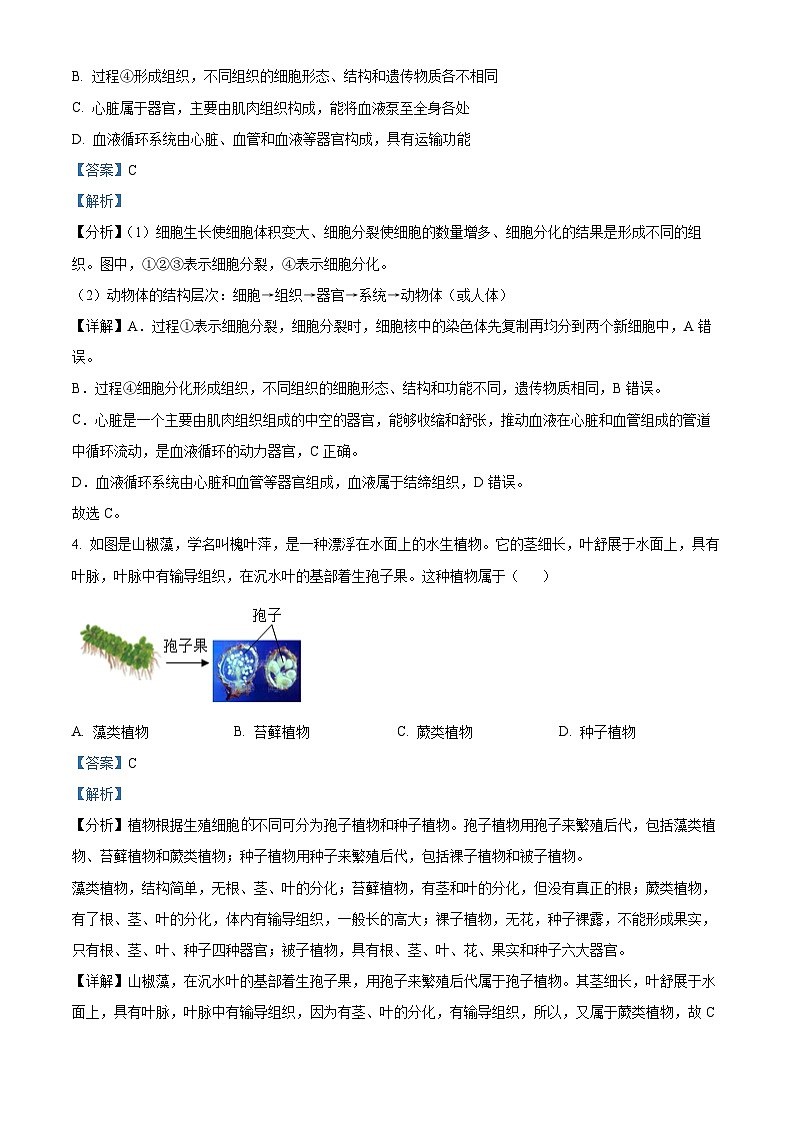 2024年山东省泰安市中考生物真题03