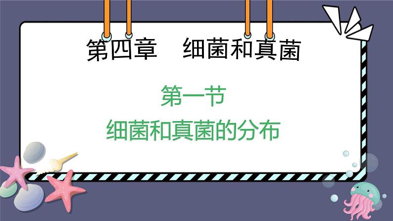 八年级人教版生物学课件细菌和真菌的分布第1页