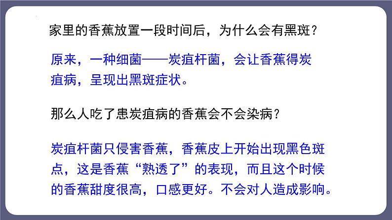 八年级人教版生物学课件细菌和真菌的分布第3页