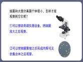 八年级人教版生物学课件细菌和真菌的分布