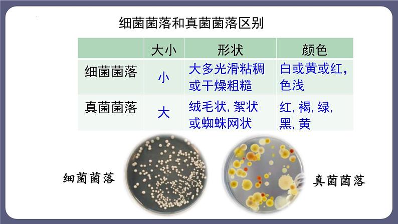 八年级人教版生物学课件细菌和真菌的分布第6页