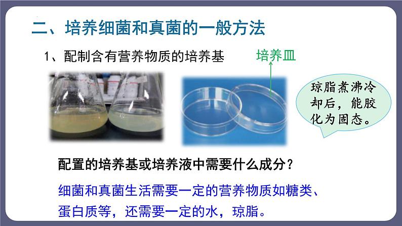 八年级人教版生物学课件细菌和真菌的分布第7页