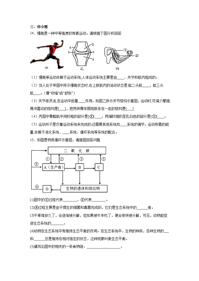 【核心素养】人教版初中生物八年级上册5.3《动物在生物圈中的作用》课件＋课时练习＋教案（含教学反思）03