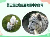 【核心素养】人教版初中生物八年级上册5.3《动物在生物圈中的作用》课件＋课时练习＋教案（含教学反思）