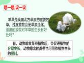 【核心素养】人教版初中生物八年级上册5.3《动物在生物圈中的作用》课件＋课时练习＋教案（含教学反思）