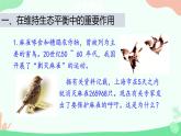 【核心素养】人教版初中生物八年级上册5.3《动物在生物圈中的作用》课件＋课时练习＋教案（含教学反思）
