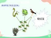 【核心素养】人教版初中生物八年级上册5.3《动物在生物圈中的作用》课件＋课时练习＋教案（含教学反思）