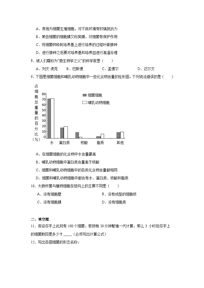 【核心素养】人教版初中生物八年级上册5.4.2《细菌》课件＋课时练习＋教案（含教学反思）02