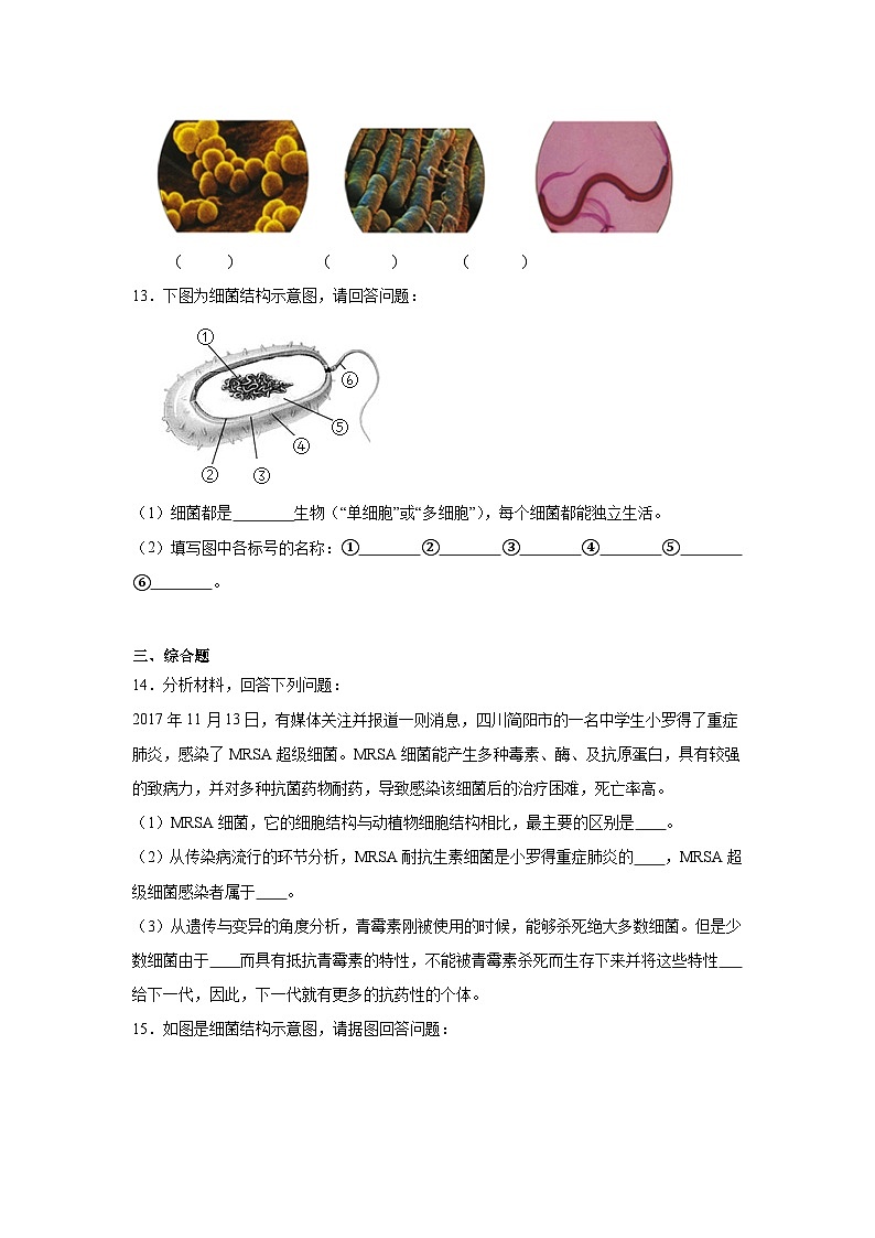 【核心素养】人教版初中生物八年级上册5.4.2《细菌》课件＋课时练习＋教案（含教学反思）03