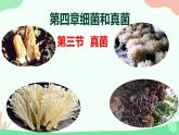 【核心素养】人教版初中生物八年级上册5.4.3《真菌》课件＋课时练习＋教案（含教学反思）