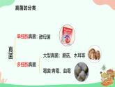 【核心素养】人教版初中生物八年级上册5.4.3《真菌》课件＋课时练习＋教案（含教学反思）