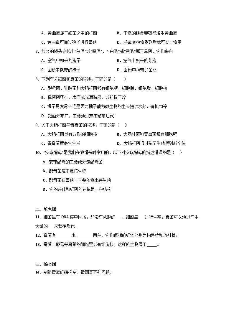 【核心素养】人教版初中生物八年级上册5.4.3《真菌》课件＋课时练习＋教案（含教学反思）02