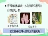 【核心素养】人教版初中生物八年级上册5.4.5《人类对细菌和真菌的利用》课件＋课时练习＋教案（含教学反思）