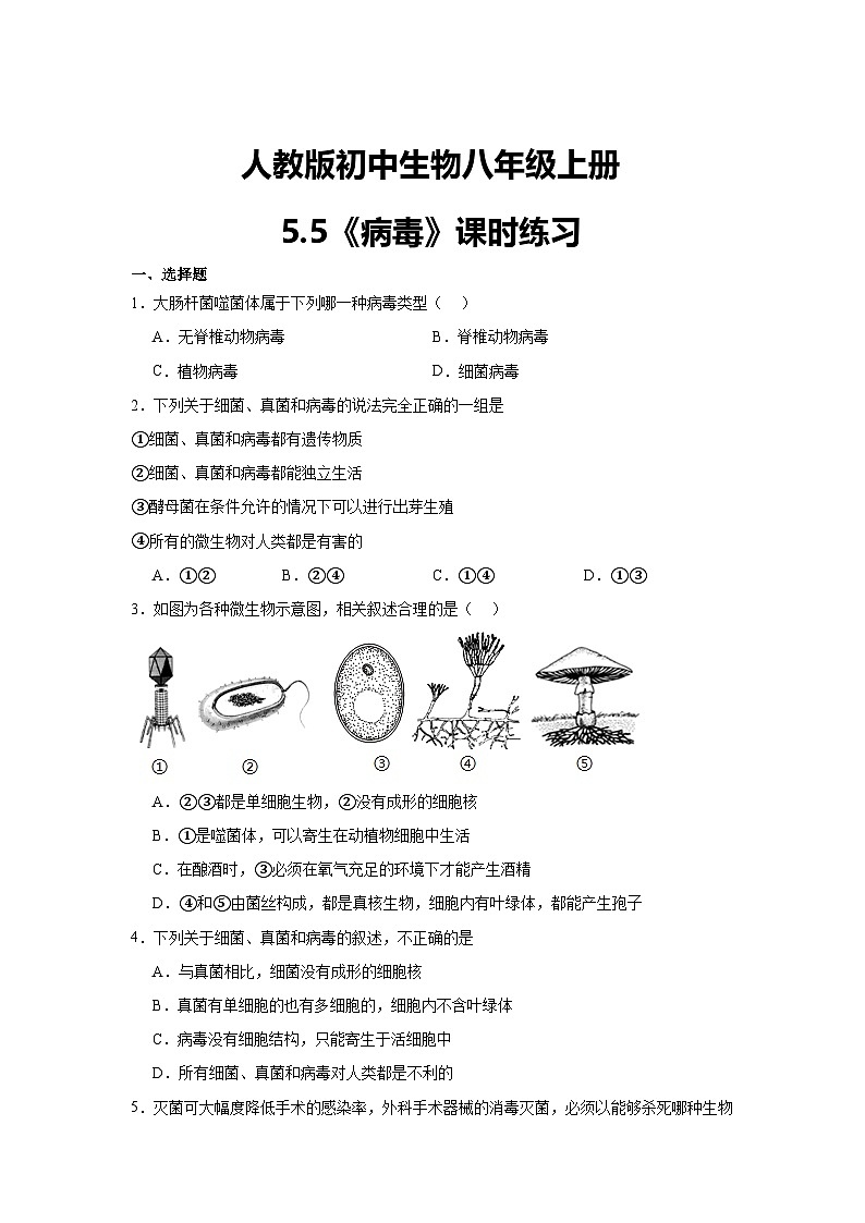 【核心素养】人教版初中生物八年级上册5.5《病毒》课件＋课时练习＋教案（含教学反思）01