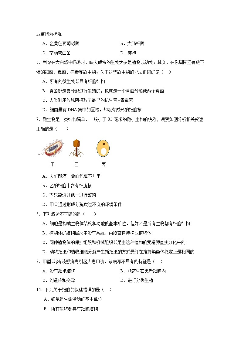 【核心素养】人教版初中生物八年级上册5.5《病毒》课件＋课时练习＋教案（含教学反思）02