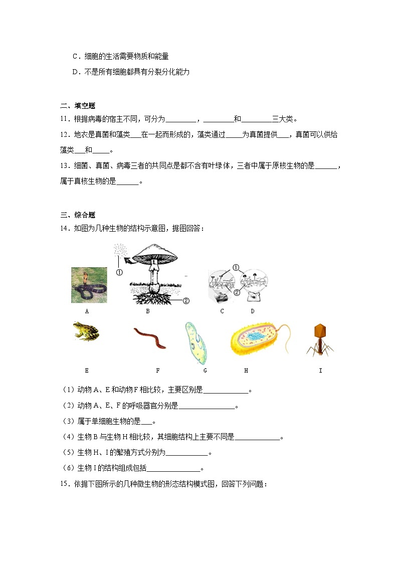 【核心素养】人教版初中生物八年级上册5.5《病毒》课件＋课时练习＋教案（含教学反思）03