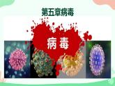 【核心素养】人教版初中生物八年级上册5.5《病毒》课件＋课时练习＋教案（含教学反思）