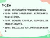 【核心素养】人教版初中生物八年级上册5.5《病毒》课件＋课时练习＋教案（含教学反思）