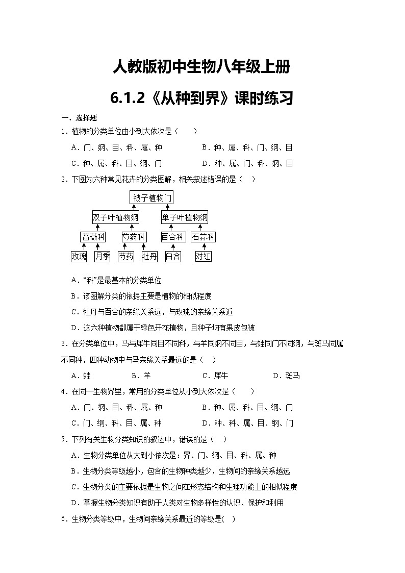 【核心素养】人教版初中生物八年级上册6.1.2《从种到界》课件＋课时练习＋教案（含教学反思）01