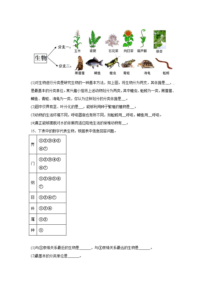 【核心素养】人教版初中生物八年级上册6.1.2《从种到界》课件＋课时练习＋教案（含教学反思）03