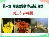 【核心素养】人教版初中生物八年级上册6.1.2《从种到界》课件＋课时练习＋教案（含教学反思）