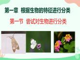 【核心素养】人教版初中生物八年级上册6.1.1《尝试对生物进行分类》课件＋课时练习＋教案（含教学反思）