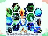 【核心素养】人教版初中生物八年级上册6.1.1《尝试对生物进行分类》课件＋课时练习＋教案（含教学反思）