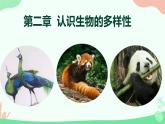 【核心素養(yǎng)】人教版初中生物八年級上冊6.2《認識生物的多樣性》課件＋課時練習＋教案（含教學反思）