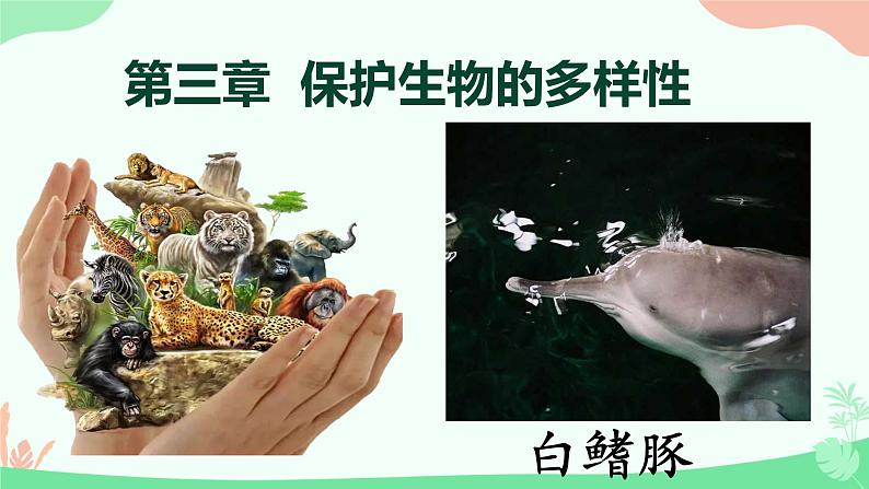 【核心素养】人教版初中生物八年级上册6.3《保护生物的多样性》课件＋课时练习＋教案（含教学反思）01