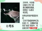 【核心素养】人教版初中生物八年级上册6.3《保护生物的多样性》课件＋课时练习＋教案（含教学反思）