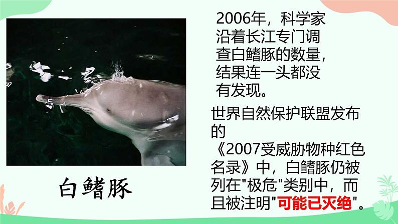 【核心素养】人教版初中生物八年级上册6.3《保护生物的多样性》课件＋课时练习＋教案（含教学反思）04