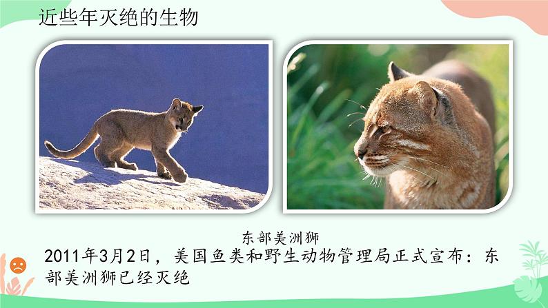 【核心素养】人教版初中生物八年级上册6.3《保护生物的多样性》课件＋课时练习＋教案（含教学反思）06