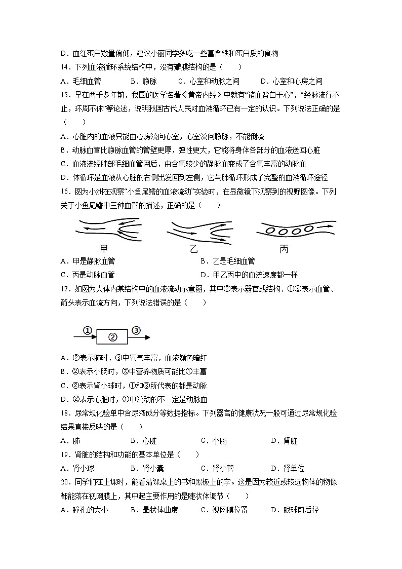 [生物][期末]湖南省株洲市茶陵县2023-2024学年七年级下学期期末考试试题第3页