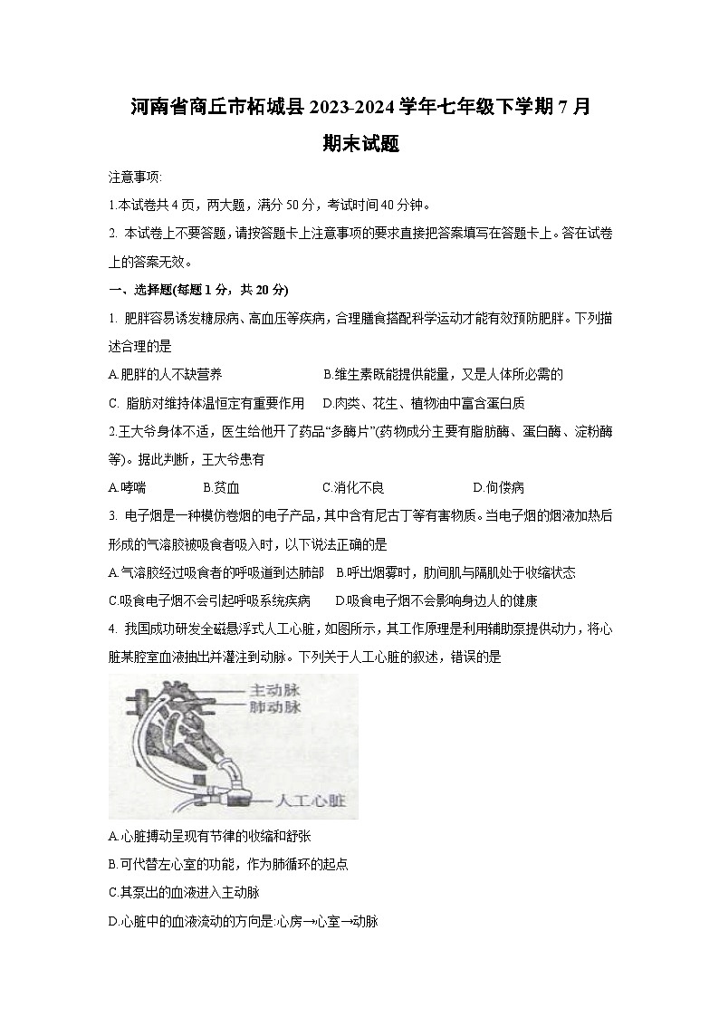 [生物][期末]河南省商丘市柘城县2023-2024学年七年级下学期7月期末试题第1页