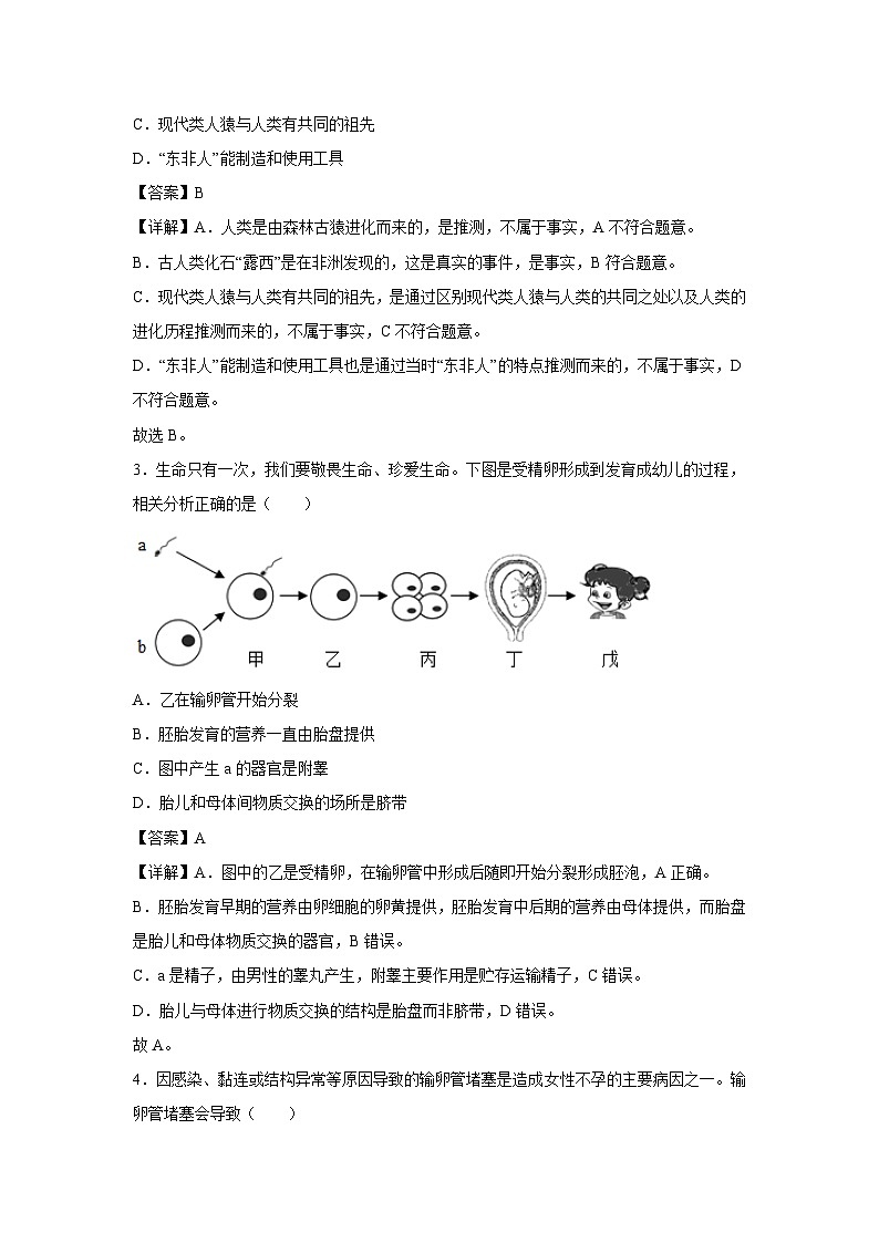 [生物][期末]七年级下学期期末模拟卷二(天津专用)(解析版)第2页