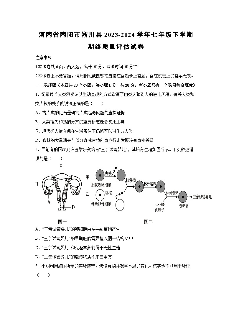 [生物]河南省南阳市淅川县2023-2024学年七年级下学期期终质量评估试卷01