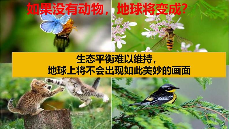 【核心素养】人教版初中生物八年级上册5.4.4《细菌和真菌在自然界的作用》课件＋课时练习＋教案（含教学反思）05