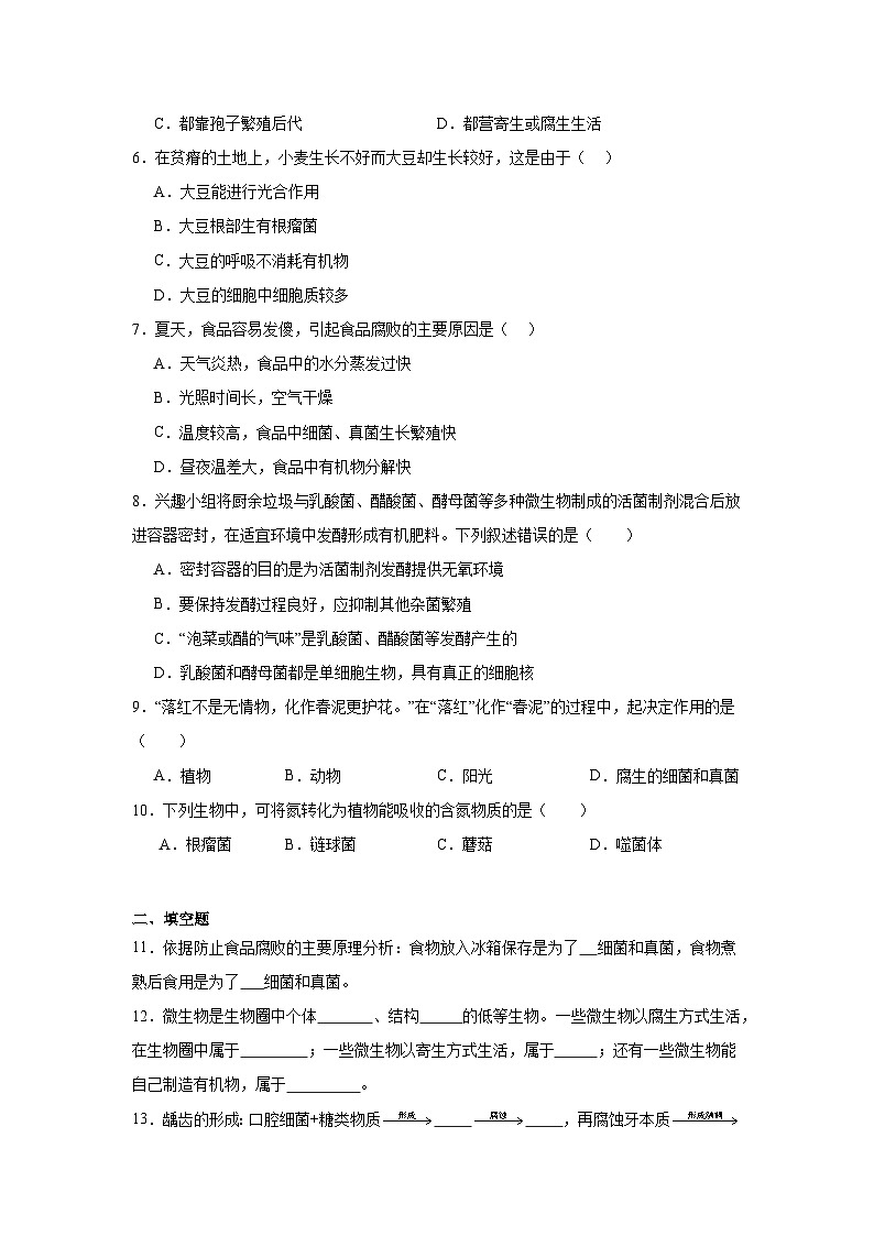 【核心素养】人教版初中生物八年级上册5.4.4《细菌和真菌在自然界的作用》课件＋课时练习＋教案（含教学反思）02