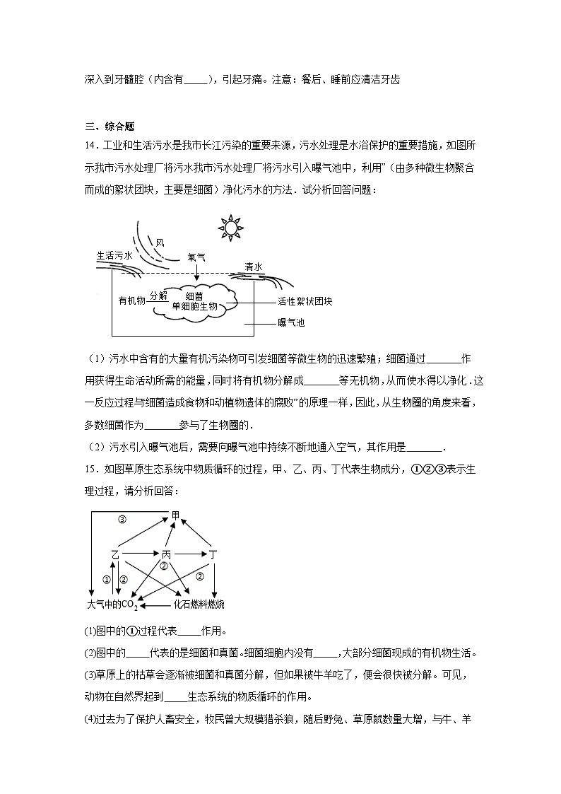 【核心素养】人教版初中生物八年级上册5.4.4《细菌和真菌在自然界的作用》课件＋课时练习＋教案（含教学反思）03