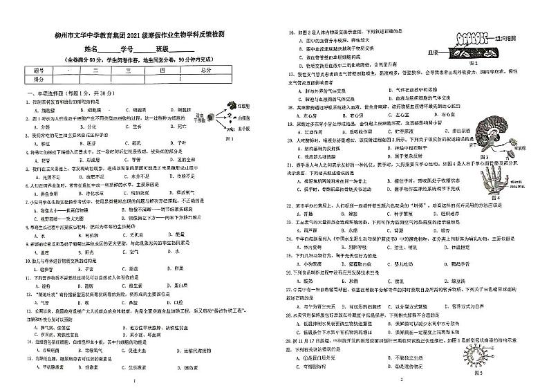 广西柳州市文华中学教育集团2022-2023学年八年级下学期开学考试生物试卷第1页