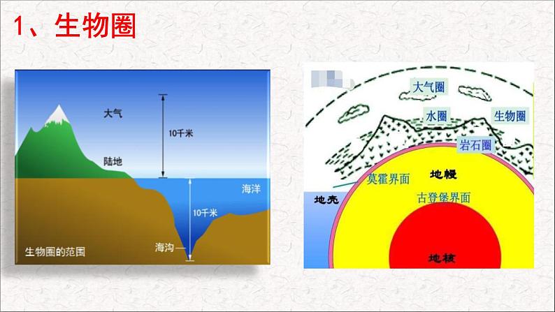 第1节 形形色色的生物 课件 北师大版（2014）生物学七年级上册03