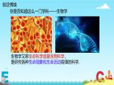 第二节  生物的特征 课件 人教版（2024）七年级上册
