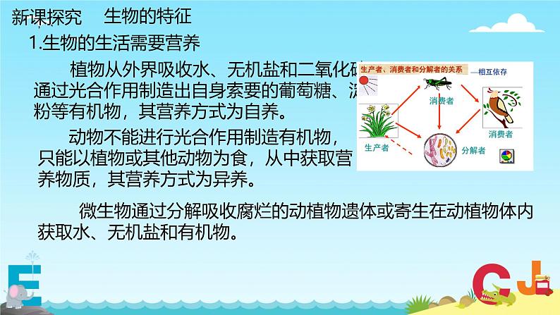 第二节  生物的特征 课件 人教版（2024）七年级上册07