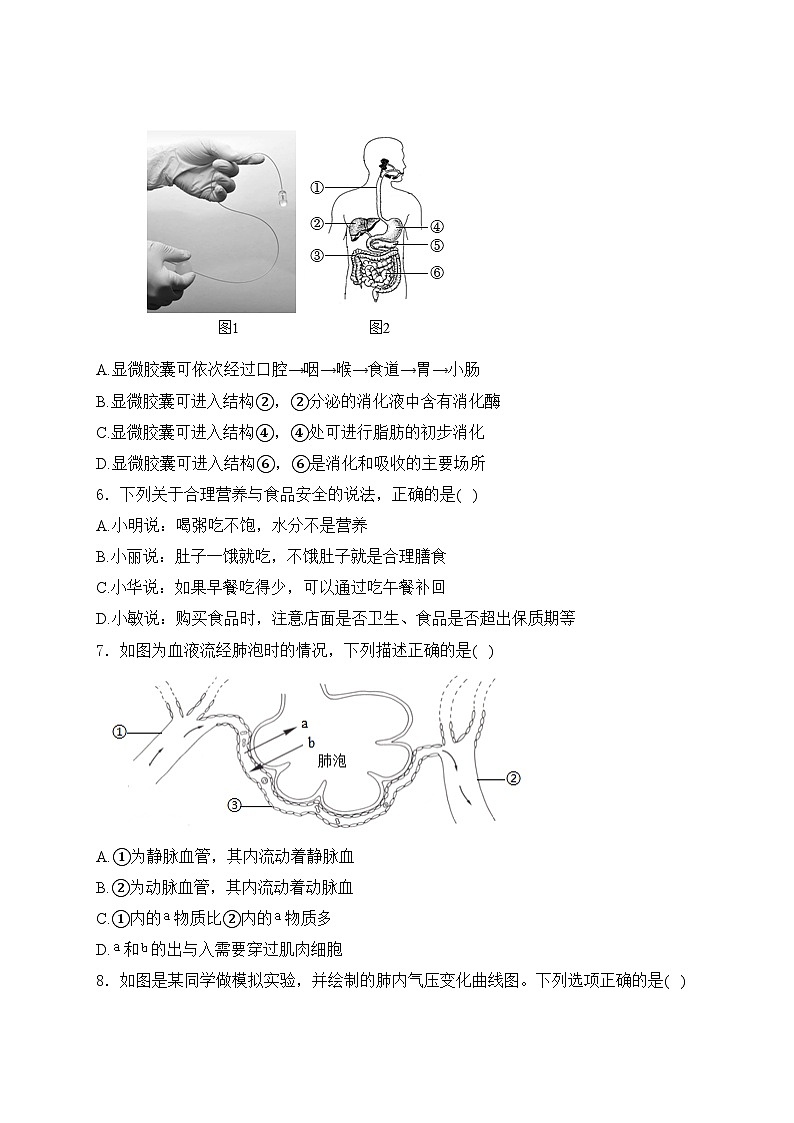河南省信阳市淮滨县2023-2024学年七年级下学期期末生物试卷(含答案)第2页