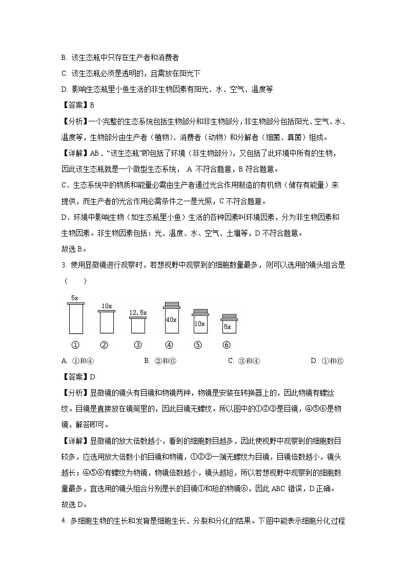 [生物][期中]四川省乐山市犍为县2023-2024学年八年级下学期期中试题(解析版)第2页
