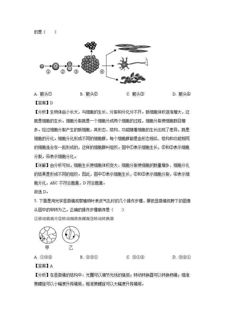 [生物][期中]四川省乐山市犍为县2023-2024学年八年级下学期期中试题(解析版)第3页