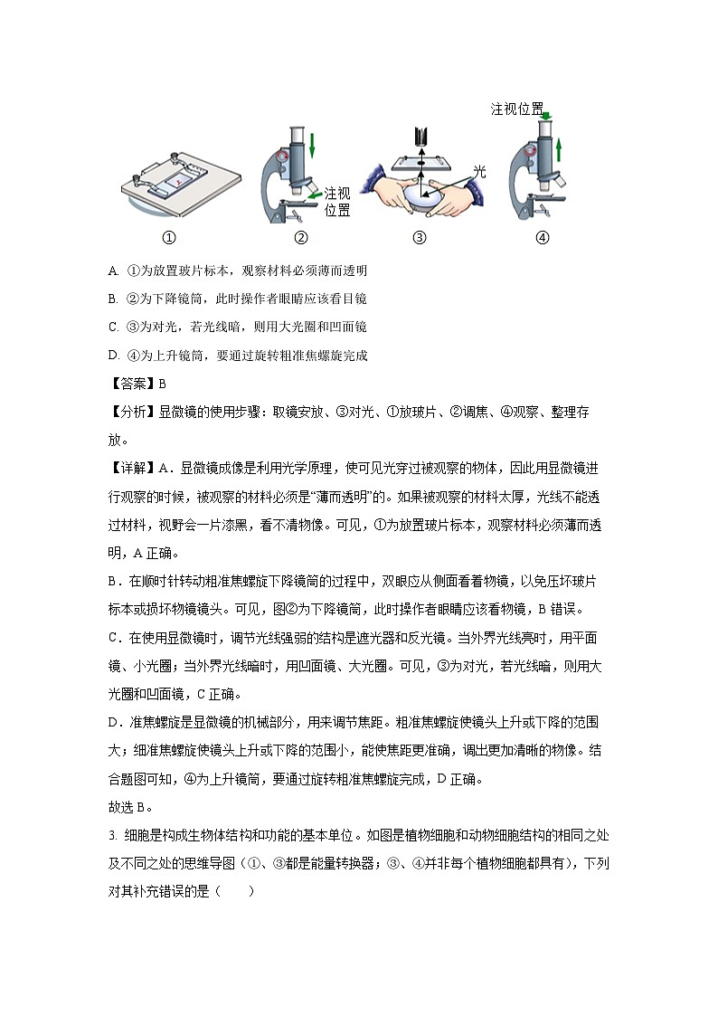 [生物]2024年湖南省娄底市初中毕业学业考试仿真冲刺中考模拟试卷(解析版)02