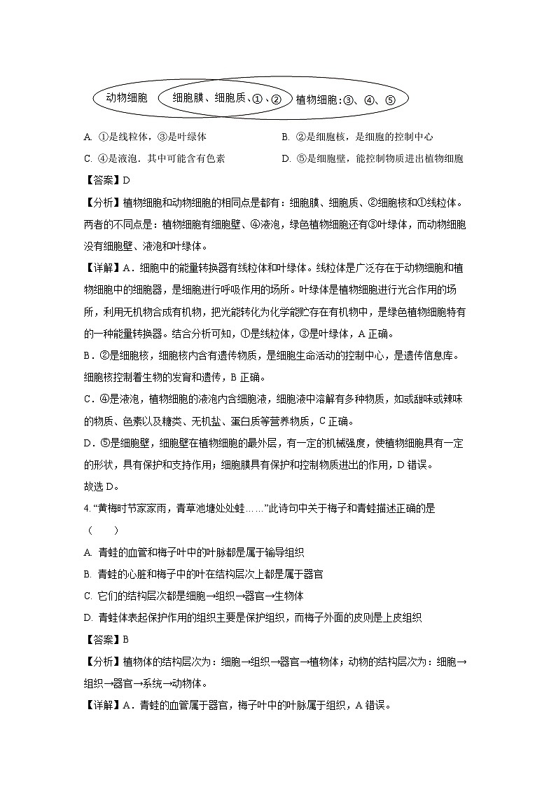 [生物]2024年湖南省娄底市初中毕业学业考试仿真冲刺中考模拟试卷(解析版)03