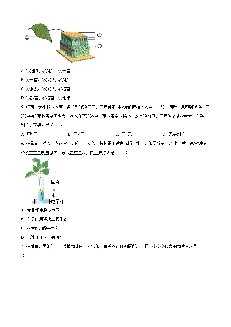 2024年四川省成都市中考真题生物试题02