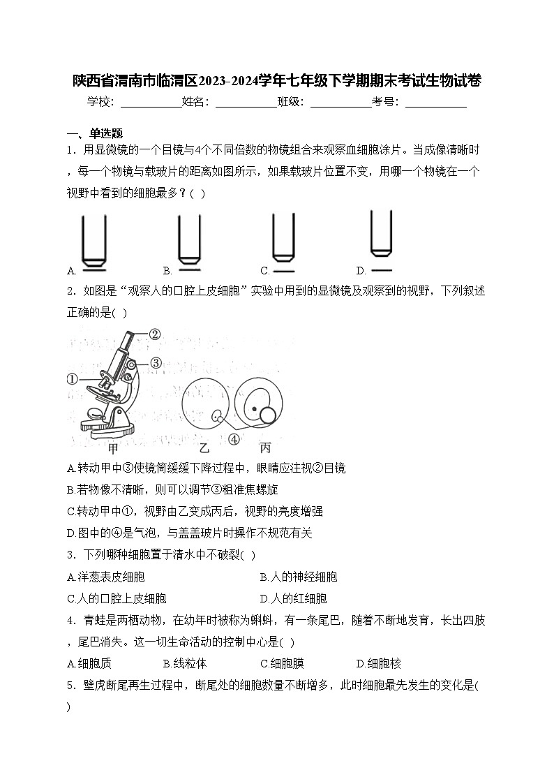 陕西省渭南市临渭区2023-2024学年七年级下学期期末考试生物试卷(含答案)第1页